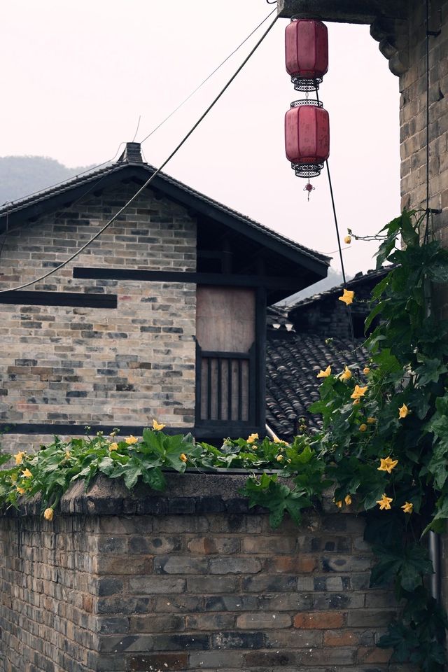 湖南岳陽|張谷英村•與古村落的美麗邂逅。