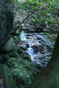 小小靈通山已累趴，懸空寺已去很值得！。