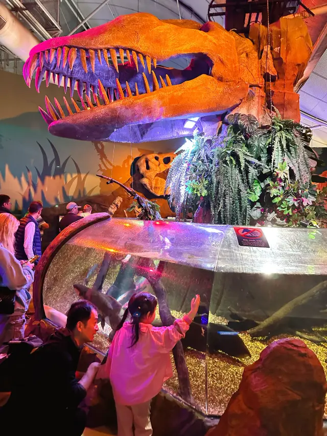 去南半球過夏天，悉尼親子十日遊（五）。