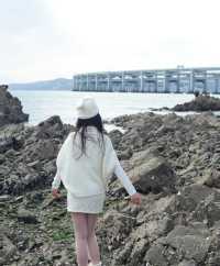 大連星海廣場，浪漫與現代的完美融合