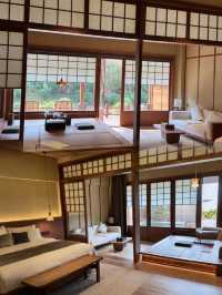 景德鎮！新開的！忍不住分享的驚喜民宿！！