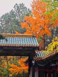 杭州東方文化園