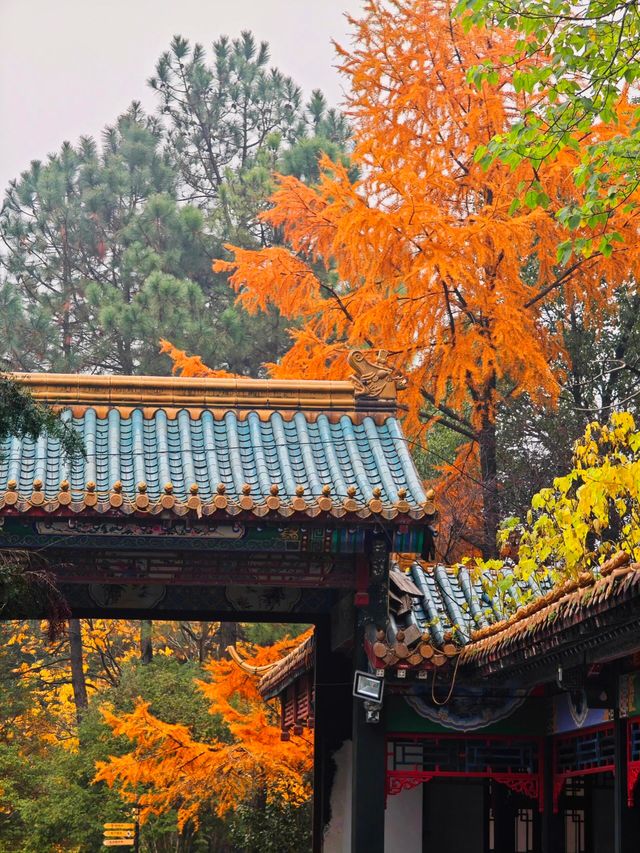 杭州東方文化園