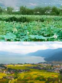 🪂 麗江三川雲來滑翔傘飛行之旅 