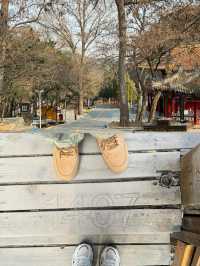 錦州青岩寺，挑戰1407階的虔誠之旅