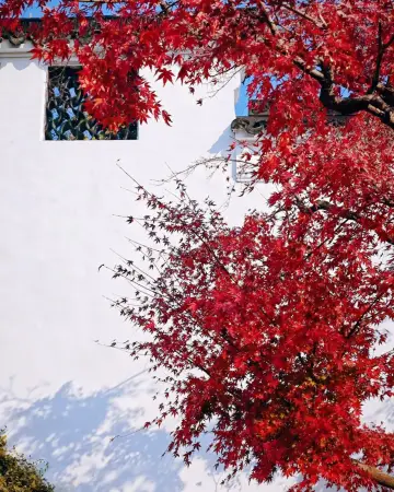 The autumn light fades away, and the red leaves cover the steps!