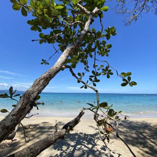 Punta Uva, Costa Rica 🌴 