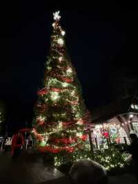 Capilano Suspension Bridge Park during Christmas Month