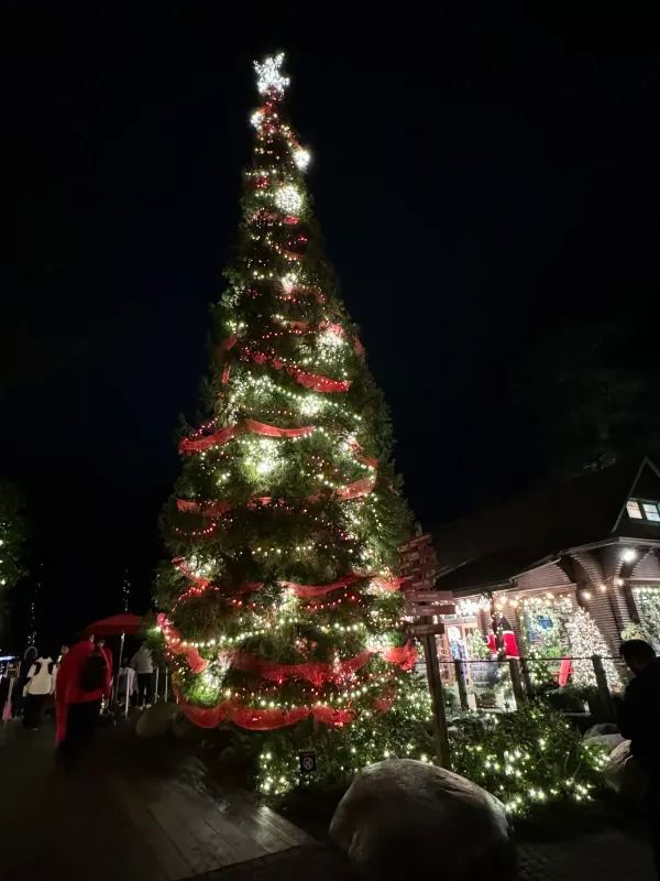Capilano Suspension Bridge Park during Christmas Month