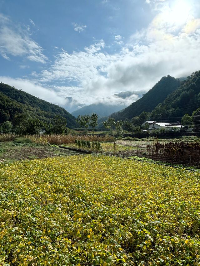 留壩 | 火燒店