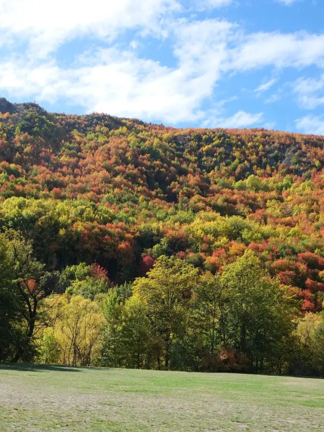 New Zealand Short Break | 6-Day Itinerary You Won't Want to Miss