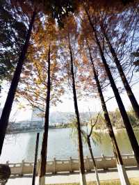臨滄市玉龍湖公園