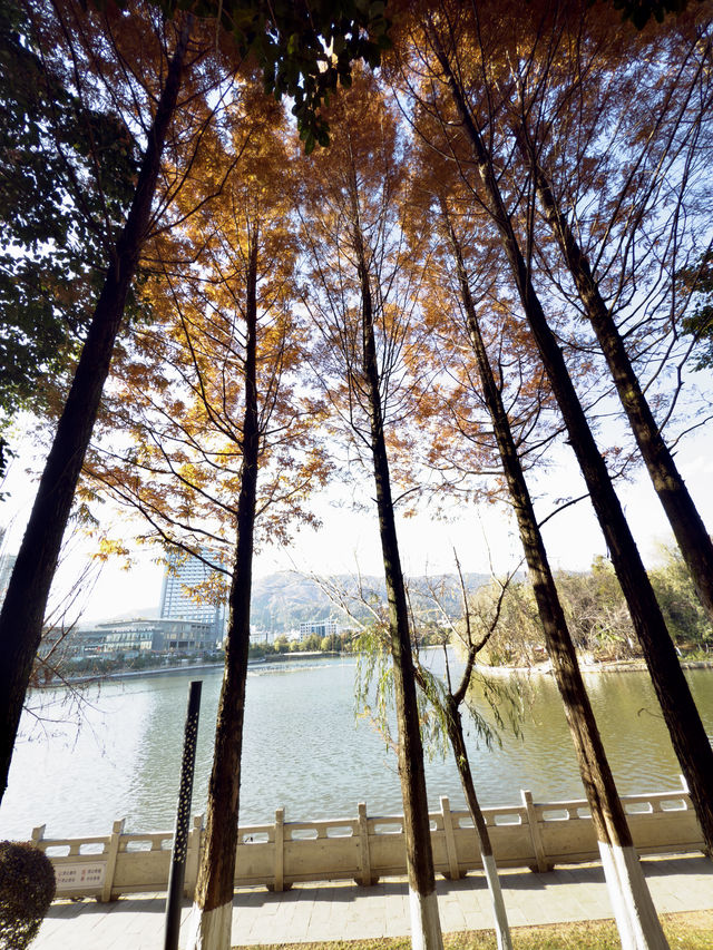 臨滄市玉龍湖公園