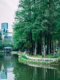 深圳四海公園超詳細遊玩攻略！