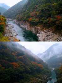 德島之旅，體驗日式文化與現代生活嘅完美融合