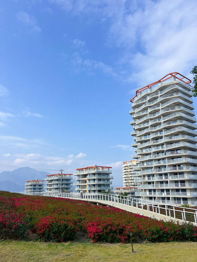 暖冬旅行指南｜米易的半山上又建了一座城太美了