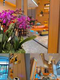 邂逅完美酒店，體驗非凡之旅