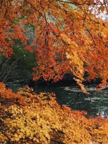 杭州次日：西湖逐光漫記