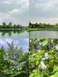 挖到寶了!人少景美,西安這座公園簡直是神仙治癒地!