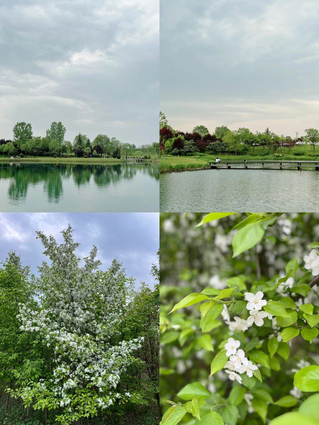 挖到寶了!人少景美,西安這座公園簡直是神仙治癒地! 挖到寶了!人少景美,西安這座公園簡直是神仙治癒地!