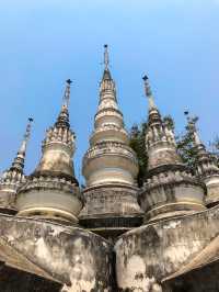 如歌旅程｜西雙版納2天1晚攻略，看野象看傣王御花園