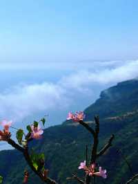 過年好去處：菲律賓6日遊全攻略