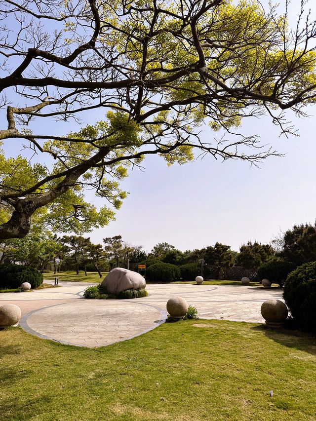 舟山3日遊 玩轉海島不踩雷