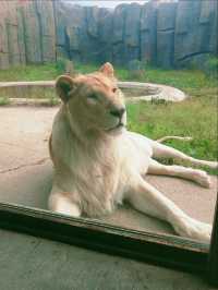 龍沙動植物園：動植物們的可愛小天地