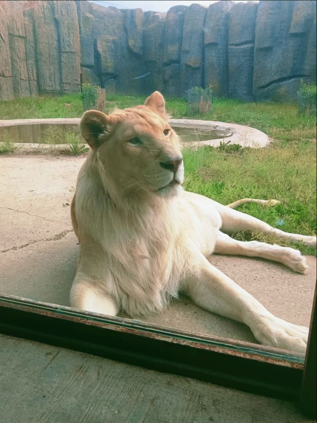 龍沙動植物園：動植物們的可愛小天地