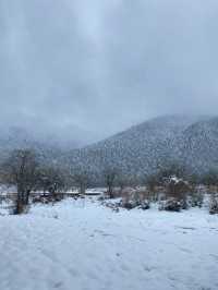 再也不去了，雪景拍照靚到爆！
