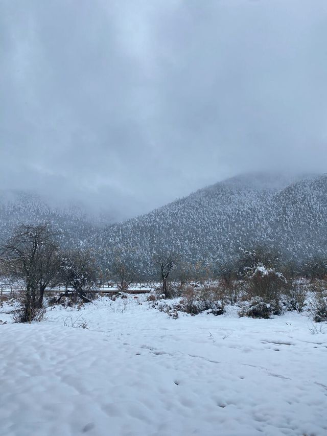 再也不去了，雪景拍照靚到爆！