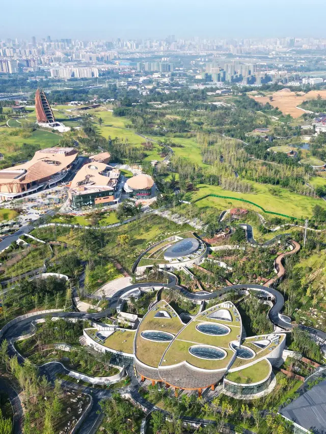 Tour 6 ngày ở Tứ Xuyên Thành Đô - Trùng Khánh - Hướng dẫn siêu chi tiết Bạn sẽ hối tiếc nếu không đọc