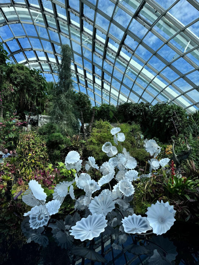 新加坡濱海灣花園 | 雲霧林🌫️ + 超級樹打卡攻略