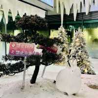 打卡深圳萬象冰雪之境