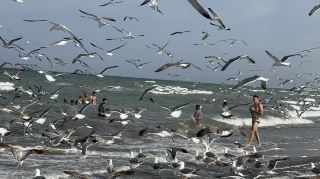 โอมาน สวนหลังบ้านอันเงียบสงบในตะวันออกกลาง