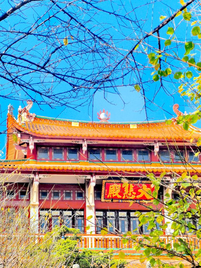 梅林佛國光孝寺