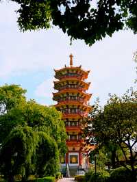 冬季旅行｜上海小眾一日遊攻略！