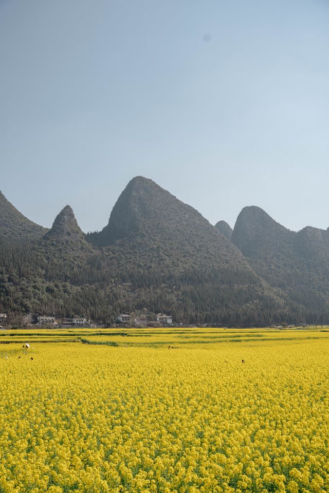 逃離都市煩囂 | 貴州小眾寶藏旅行地