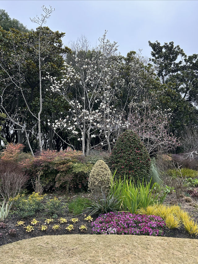 尋找春天的色彩，就來徐家匯公園吧