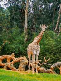 野生動物會咬人？NO！是會萌的沒邊