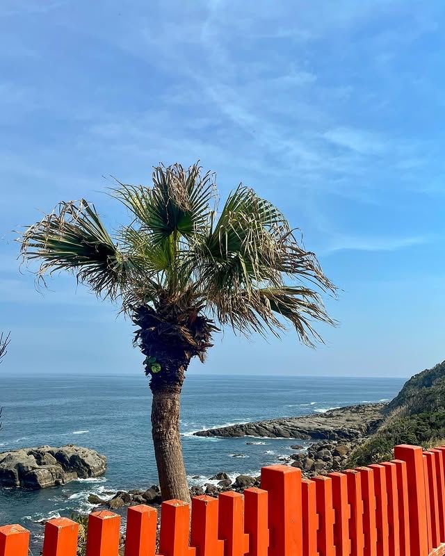 日本·宮崎 | 鵜戶神宮——海崖上的夢幻紅色神社！