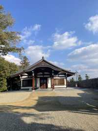 日本7日遊 超詳細攻略 不踩雷