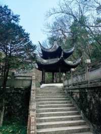 春天，台州黃岩呢個公園藏住最治癒嘅角落