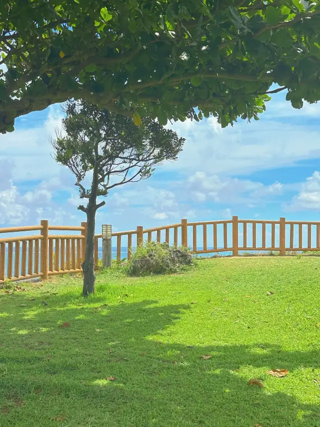 5-Day Family Trip to Japan: A Super Practical Guide