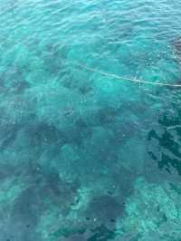 Redang Island is back and it's absolutely stunning!