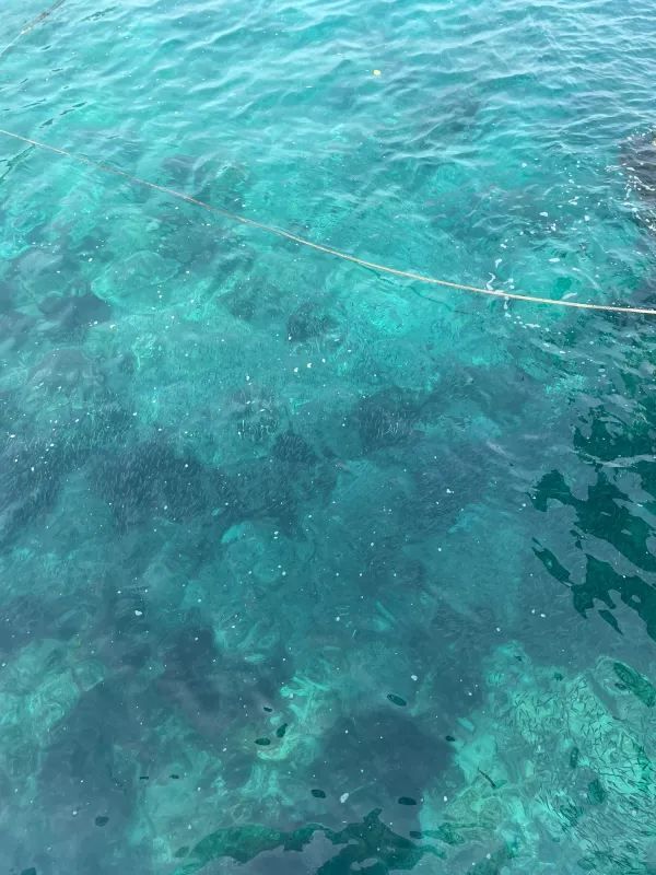 Redang Island is back and it's absolutely stunning!