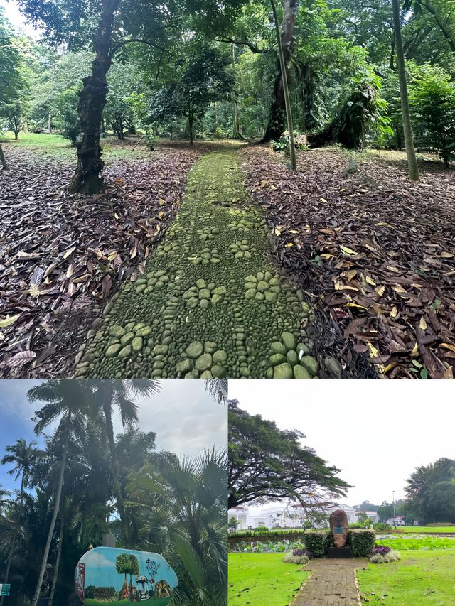 探索印尼茂物市植物園，邂逅綠野仙蹤