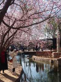 北京三里河公園
