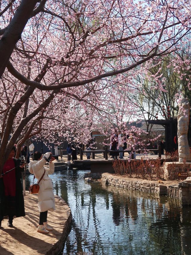 北京三里河公園