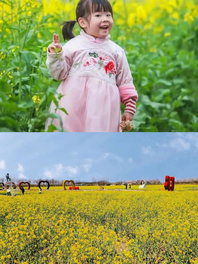 佳期已到！快來信陽明港賞油菜花！